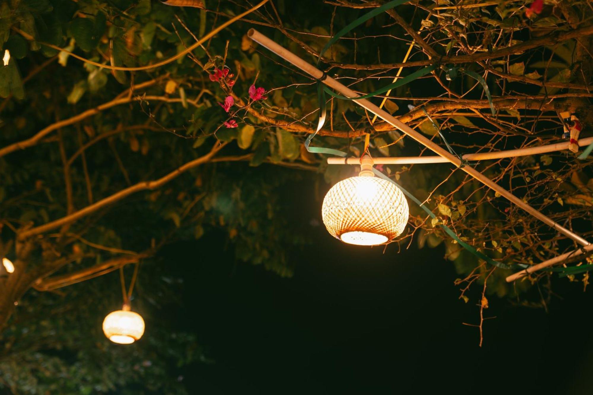 Papaya Bungalow & Rice Fields Apartment Ninh Binh Bagian luar foto