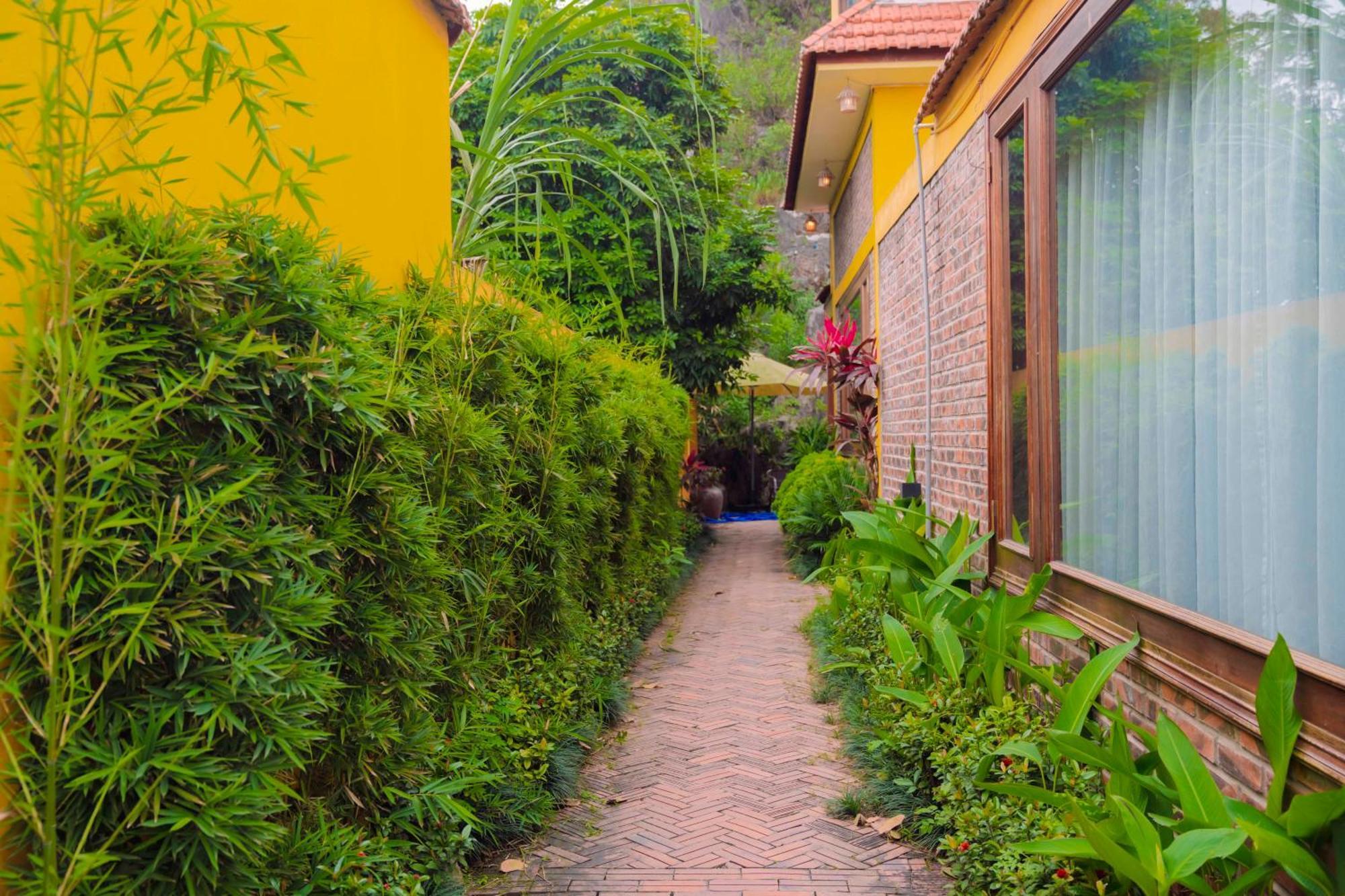 Papaya Bungalow & Rice Fields Apartment Ninh Binh Bagian luar foto