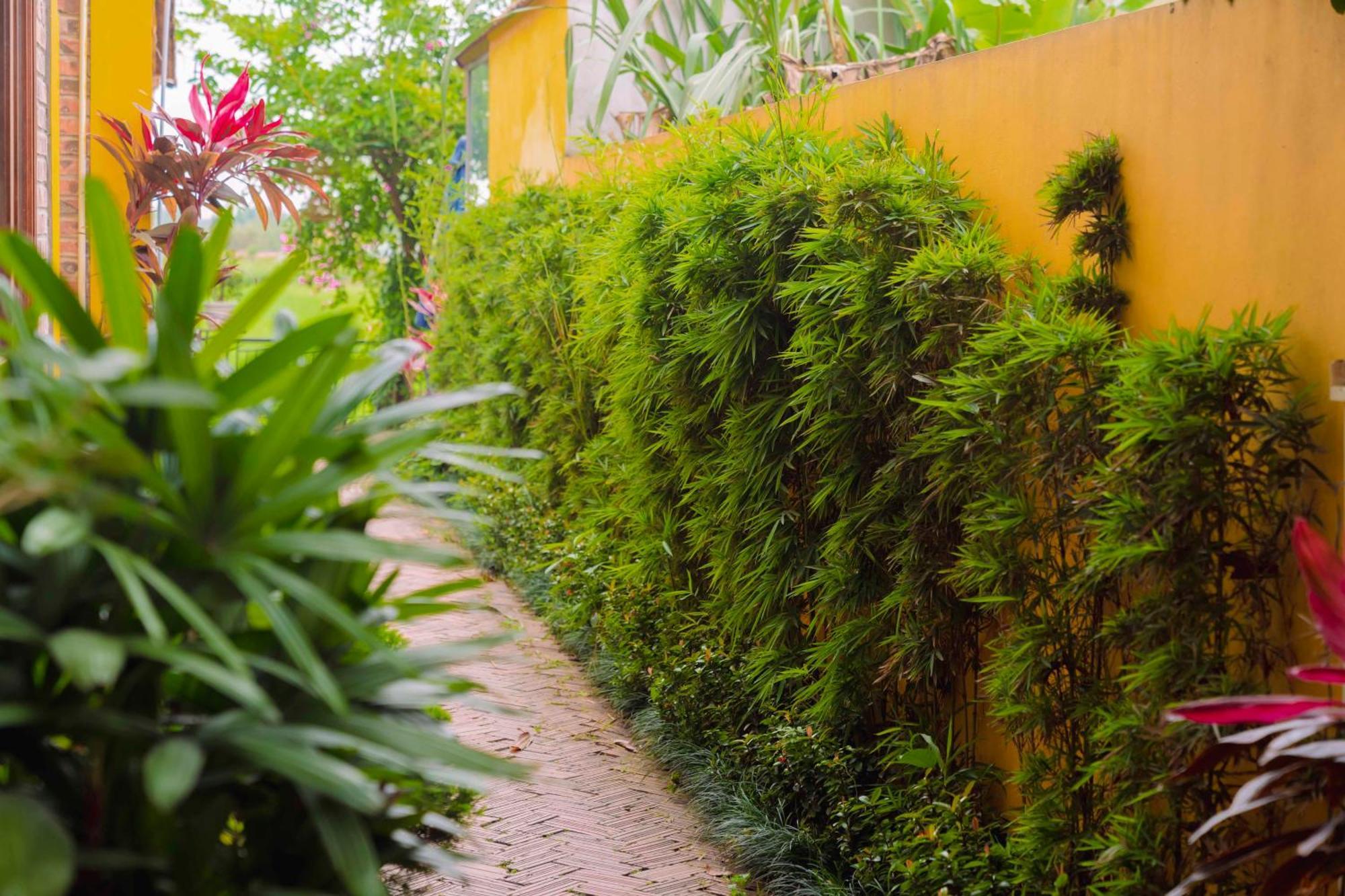 Papaya Bungalow & Rice Fields Apartment Ninh Binh Bagian luar foto