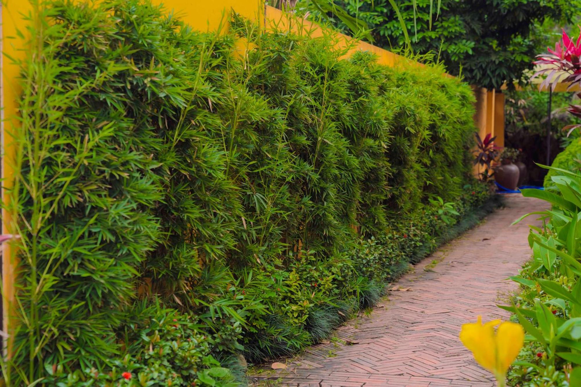 Papaya Bungalow & Rice Fields Apartment Ninh Binh Bagian luar foto